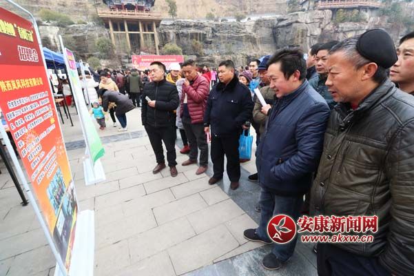 22գ܊ڍ޿h͘II“LЄ”ƸFҺmĹλ z.jpg