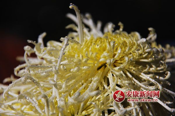 9ջʢ_磬ƢӭLŭţ׿ȻSٻͬݣcٻcscĺɠG