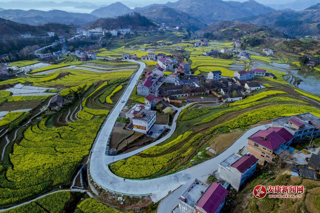 PߴɫzӰƤ¾SԒh13325355508ĔzʡhꎿhuP߹ - .JPG