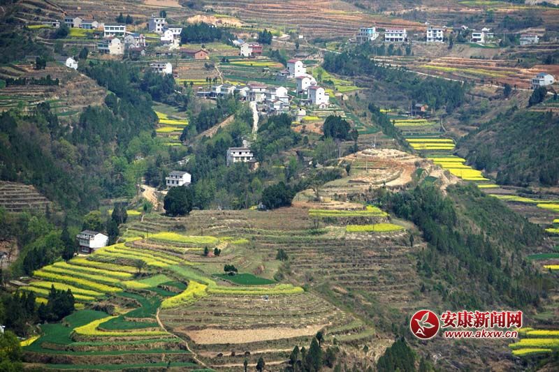 D2.̎ꑸأ߁ɽɽɽص6Nεòc˷Ϣ@˂ò